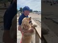 Dog And The Dad Who Didn't Want One