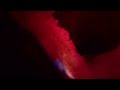 Fleet Foxes - Third of May / Ōdaigahara (Lyric Video)