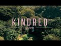 Relaxing Music - Stress Relief Music, Meditation, Spa, Sleep, Calming Music, Study |KindRed Nature|
