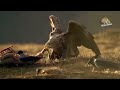 Eagle - The Noblest and Strongest Hunter in the Skies - Eagle Documentary