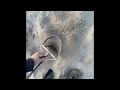 DiggingACK Episode 31 - Beach Metal Detecting Nantucket Island