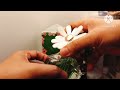 Marc Jacobs DAISY WILD 2024 unboxing