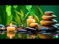 Special Relaxation Music - Enter a World of Tranquility and Calm