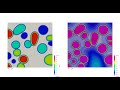 Multivariant Diffusion-Controlled Precipitate Evolution (Phase Field Model)