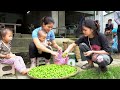 Harvest Season: Harvesting Cham Fruit & Making It into Food for Children | Happy Every Day