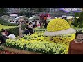 Hongkong flower show 2024 ll pameran Bunga divictoria park ll part 3 #hongkongflowershow