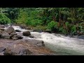 Beautiful Calming River Sounds Stress Relief 💤 Nature Sounds for Sleeping