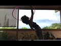 watch me dance around w/ a hoop ⭕️ #freeflowdance