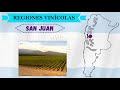 Vinos de ARGENTINA 🍇 [Uvas y regiones vinícolas]