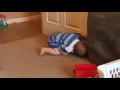 Toddler temper tantrum