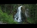 Soothing Music with Native Flute and Nature Sounds, Meditation Music, Relaxing Music, Forest Sounds
