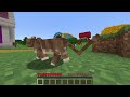 Nico Is Cash’s Cat In Minecraft!