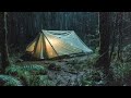 Relaxing Heavy Rain On Beautiful Tent in Forest At Night | White Noise ASMR Rain Sounds For Sleeping