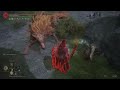 Quality build invasions at level 80 [Playstation] - #eldenring #pvp