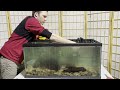 40 Gallon Starter Turtle Tank Setup - Everything You Need For Your Turtle