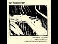 Roy Montgomery - In Another Time