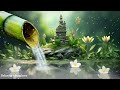 🎵Relaxing Music to Relieve Stress, Anxiety And Depression • Calm Music, Meditation Music♬