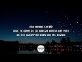 Anuel AA & Ozuna - RD | (Letra/Lyrics)