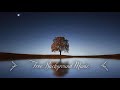 1 Hour Upbeat Background Music Best MBB Music Collection Free Download No Copyright