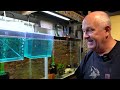 BREEDING Corydoras - 50 Years of Experience!
