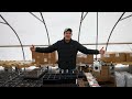 How Many Seeds Should Be Planted Per Container When Seed Starting