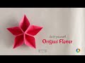 How to Fold : Origami Flower | Do It Yourself