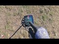 MINELAB X-TERRA ELITE - Unbox & Setup + Field Test First Hunt