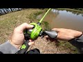 I've NEVER Seen This Many GIANT Bass in a POND! (Bank Fishing)