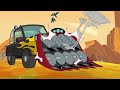 Looney Tunes auf Deutsch | Wile E Coyote das Genie | 30 Minuten | WB Kids