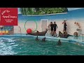 Видео 112. Дельфинарий Немо. Таиланд, провинция Пхукет