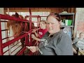 Healing from Head to Hoof | Horse Shelter Heroes S3E7