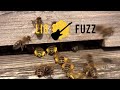 Lio Fuzz (Clip de Introducción ).