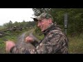 Scottish Aimpoint buck hunt