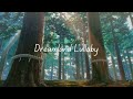 Dreamland Lullaby - Mellow Lofi Hip Hop for Sleep, Relaxation & Study | Your Name (2016) AMV 🌙 ✨