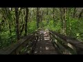 Wildflower Meadow & Woodland Walk | 4K Virtual Nature Hike | Nature Sounds