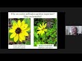 Basics of Pollinator Gardening for Florida