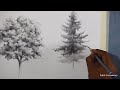 How to Draw Trees | Sketching techniques | Walnut and Pine Tree Pencil Drawing