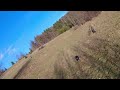 Dog Chasing the Drone - From Above #dji #drone #video #dronephotography