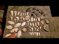 Fossil Hunting in Florida for Megalodon Shark Teeth | A Prehistoric Treasure Hunt