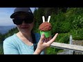 MUST DO IN BERGEN, NORWAY: HIKE MOUNT FLØYEN / Meeting goats / enjoying ice cream on the top!!