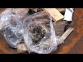 Destroy a Wasps Nest by Hand With a Plastic Bag - Quick and Easy