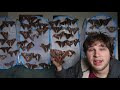 My Pets: Butterflies (& Moths)  compilation (by Bart Coppens) - Butterflies as Friends!