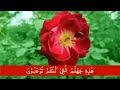 Surah Yasin ( Yaseen ) with Urdu Tarjuma | Quran tilawat | Episode 0047 Quran with Urdu Translation