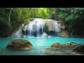 Relaxing music heals the heart and nervous system 🌿 Soothing music relieves stress
