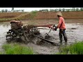 6 Roda Besi TerPasang,,Traktor Sawah Haluskan Lahan Hitam, PART 1