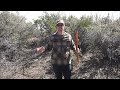 Comanche Bow vs Cherokee Bow - Which Bow is Faster?