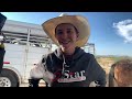 A DAY OF TRAINING TWO STUD COLTS (weanling colts from JHeart & Memory Ranches)