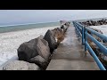 Icy Shoreline At Lexington State Harbor / Lexington,Michigan