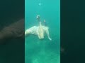 Snorkeling on Cham Island (Vietnam)