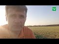 Oekraïne-vlogger Kees Huizinga: ‘Tien procent meer omzet?’
